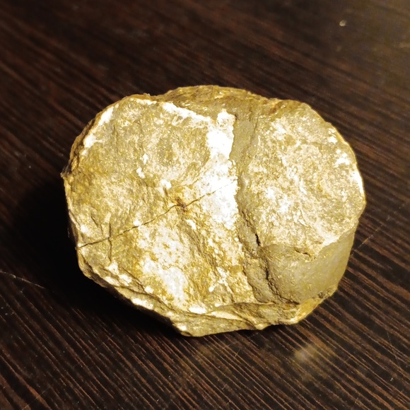 TRILOBITE FOSSIL - Picture 5 of 5